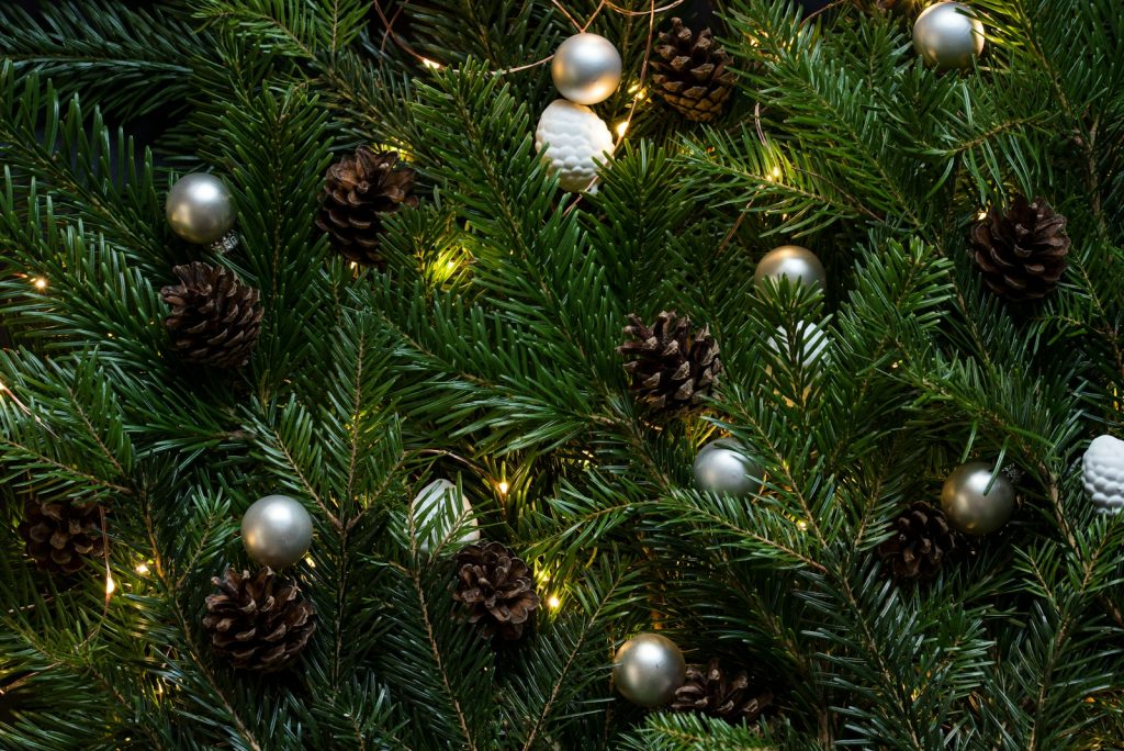 closeup photo of Christmas tree with ornaments and lights